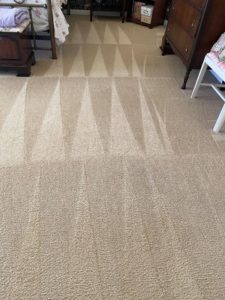 Residential Carpet cleaning