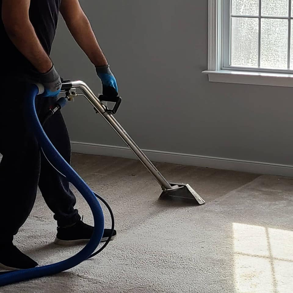 carpet cleaning