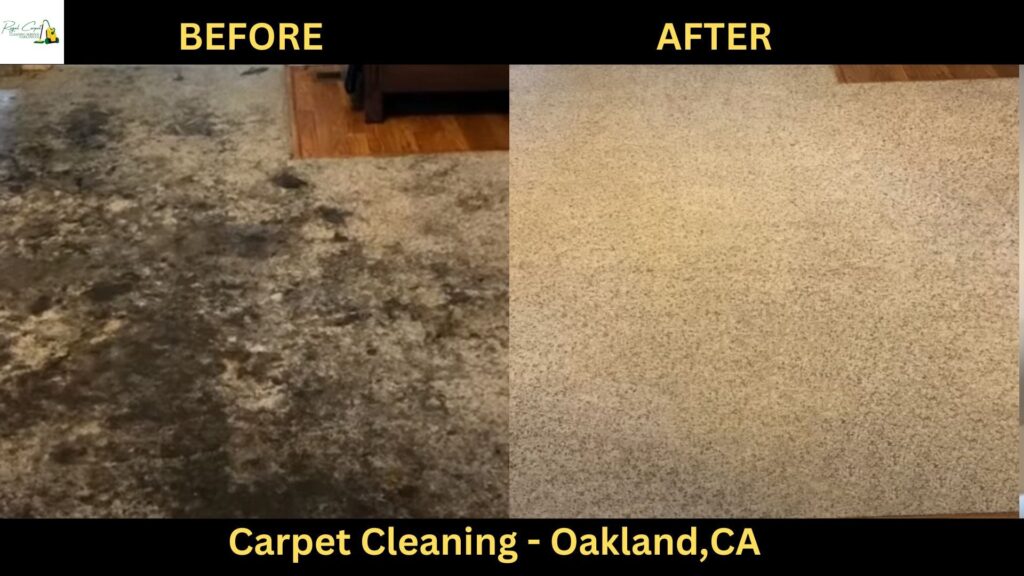 Carpet Cleaning in Oakland,CA